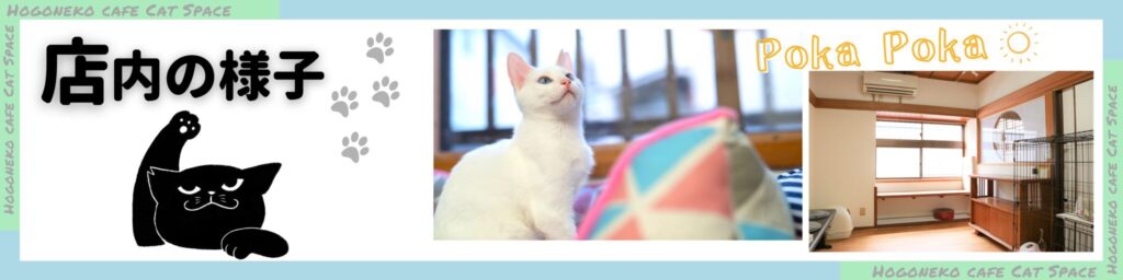 大阪梅田 中崎町と天満の間の保護猫カフェ Cat Space