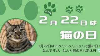 2022年 猫の日イベントのお知らせ🐾 | Cat Space