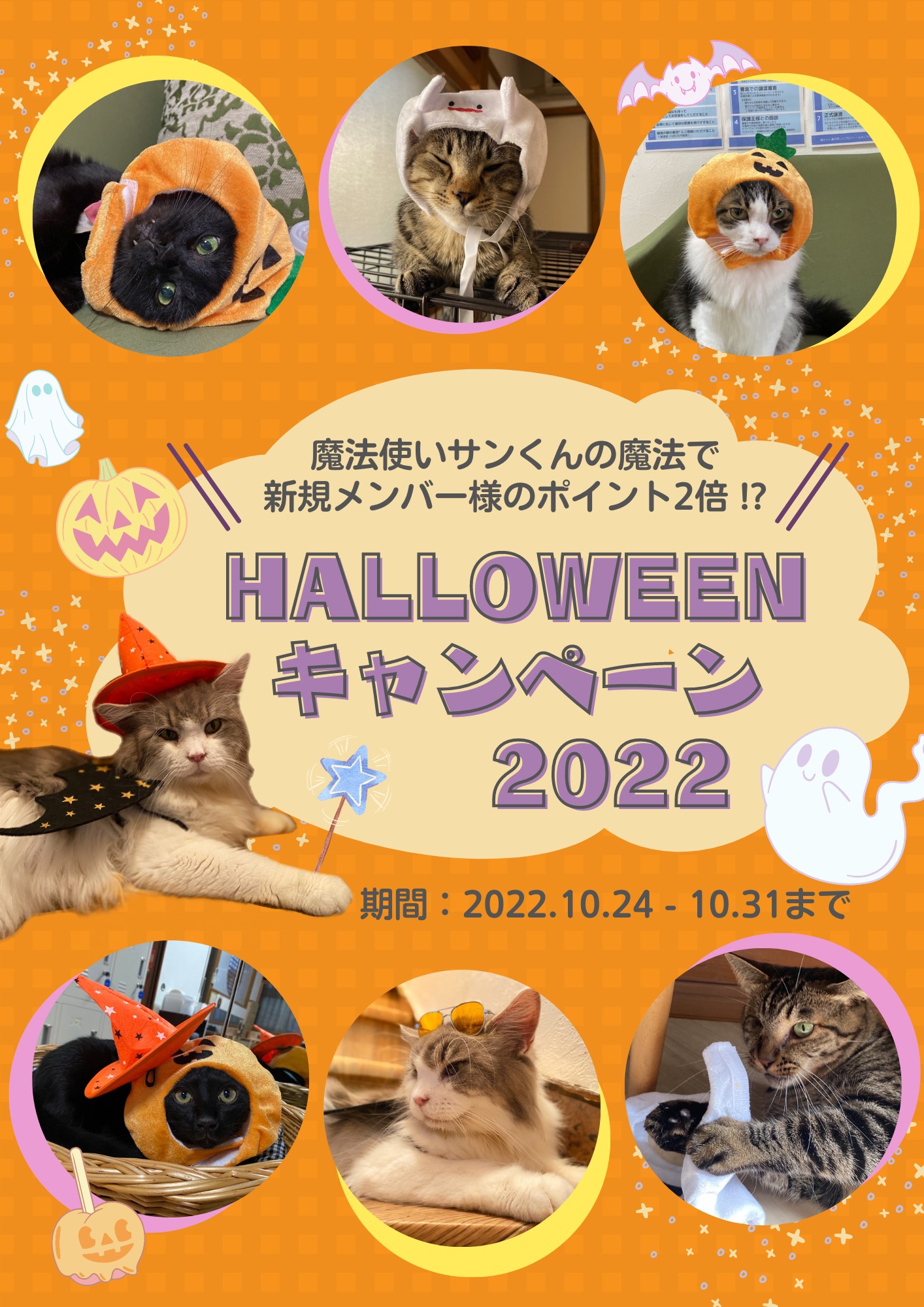 2022年ハロウィンキャンペーン   その2 | Cat Space