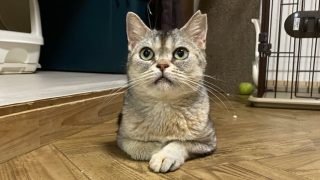 まるこ36 Photo-Resizer-